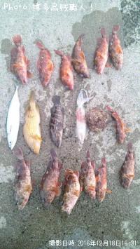 ¥«¥µ¥´¡¢¥µ¥Ð¡¢¥¥¸¥Ï¥¿¡¢¥¯¥¨¡¢¥±¥ó¥µ¥¥¤¥«¡¢¥µ¥¶¥¨