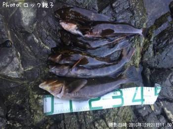 �����ʥ�