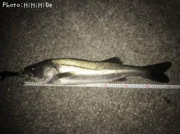 �����Х�