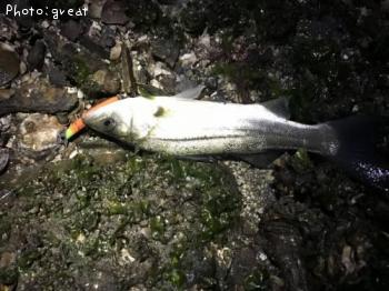 �����Х�