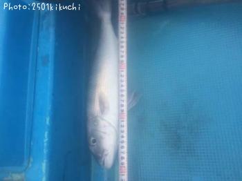 �������ӥ�