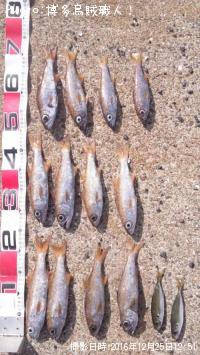 ��ġ�����