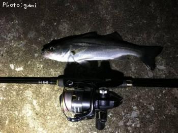 �����Х�