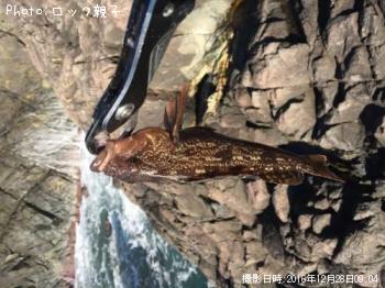 �����ʥ�