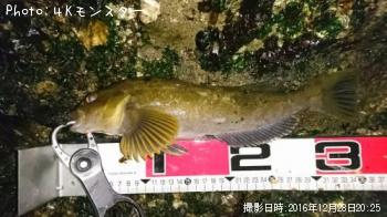 �����ʥ�