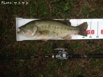 �֥�å��Х�