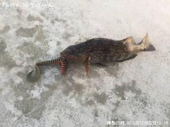 �����ʥ�