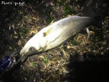 �����Х�