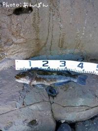 �����ʥ�