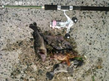 ������������