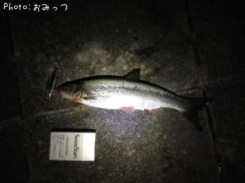 �ޥ륿������