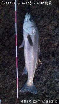 �����Х�