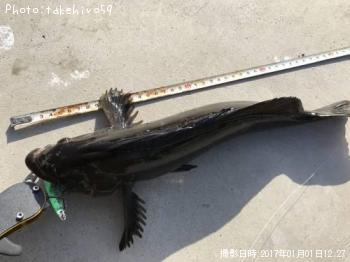 �����ʥ�