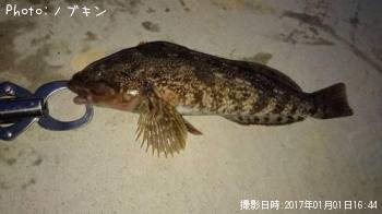 �����ʥ�