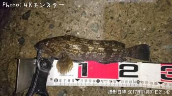 �����ʥ�