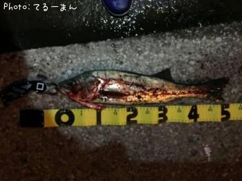 �����Х�