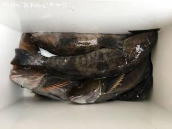 �����ʥ�