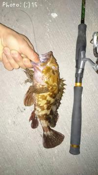 ������������