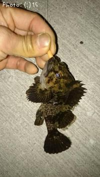 ������������