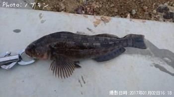 �����ʥ�