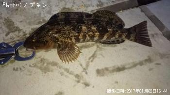 �����ʥ�