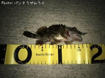 �����Υ���Х�