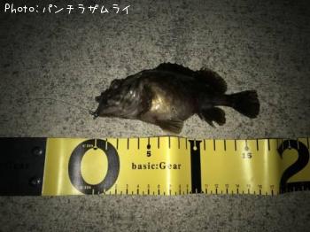 ¥¿¥±¥Î¥³¥á¥Ð¥ë