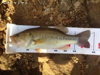 �֥�å��Х�