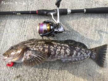 �����ʥ�