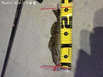 �����ʥ�