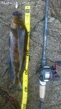 �����ʥ�