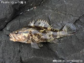 �����Υ���Х�