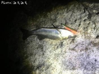 �����Х�