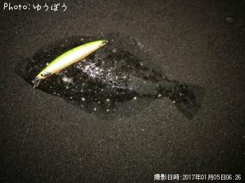 �ҥ��ʥ�����