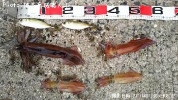 ����ᥤ�������󥵥�����������