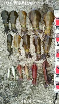 ����ᥤ�������󥵥�����������