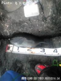 ¸ýÂÀ¥á¥¸¥Ê