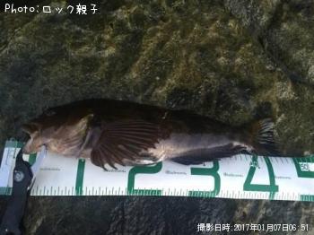 �����ʥ�