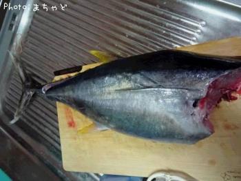 �ߡ����ӡڥ�Х��ޥ�����