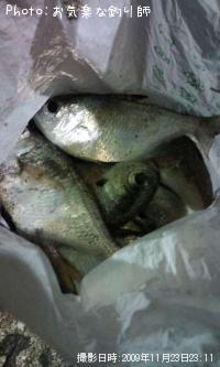 �ߥʥߥϥ����