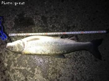 �ޥ륿������