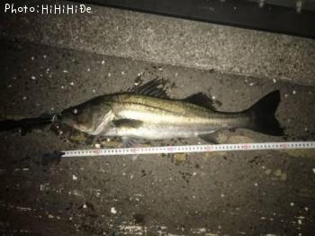 �����Х�