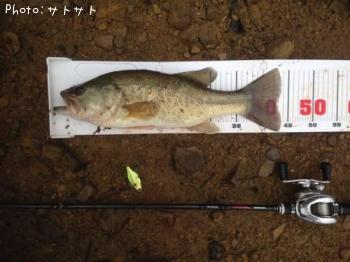 �֥�å��Х�