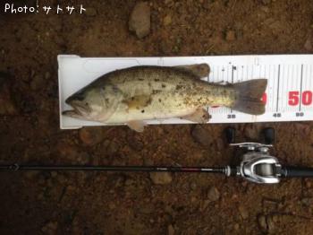 ¥Ö¥é¥Ã¥¯¥Ð¥¹