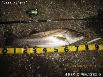 �����Х�