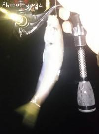 ��Х롢����