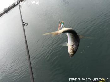 ���Υ���