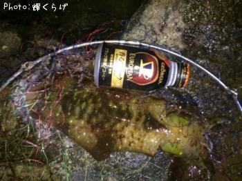 ¥¢¥ª¥ê¥¤¥«