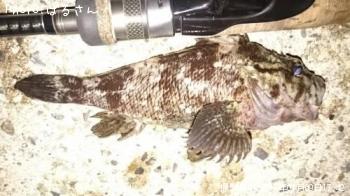 �����Υ�����