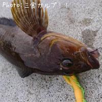 �����ʥ�